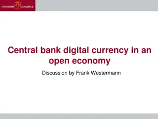 Central Bank Digital Currency in an Open Economy Discussion