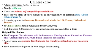 Chinese chive