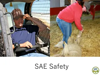 Ensuring Safety in Agriculture: Protecting Youth Workers