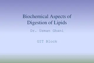 Biochemical Aspects of Lipid Digestion in GIT Block