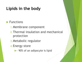 Biochemical Aspects of Lipid Digestion Overview