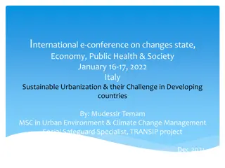 Sustainable Urbanization Challenges in Developing Countries