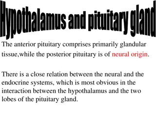Static Equilibrium in Physics