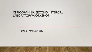 CERIODAPHNIA SECOND INTERCAL LABORATORY WORKSHOP