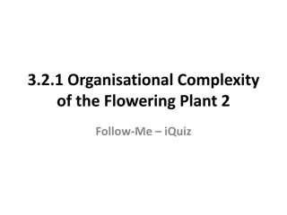 Organisational Complexity of Flowering Plant