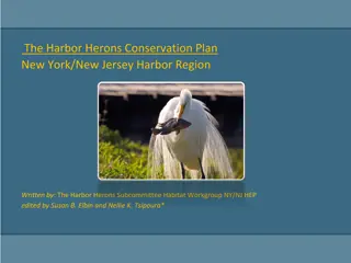 Harbor Herons Conservation Plan in NY/NJ Region