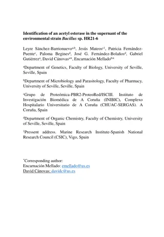 Identification of an Acetyl Esterase in Bacillus sp. HR21-6 Supernant