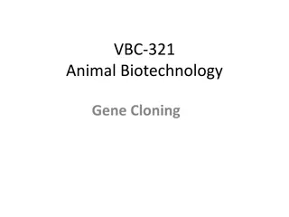 Animal Biotechnology: Gene Cloning Techniques and Transformation Methods