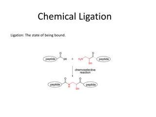Cloning with Restriction Enzymes and Ligation