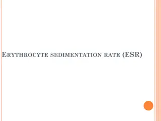 Erythrocyte Sedimentation Rate (ESR)