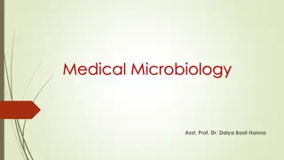 Chlamydiae: Infectious Microorganisms and Developmental Cycle