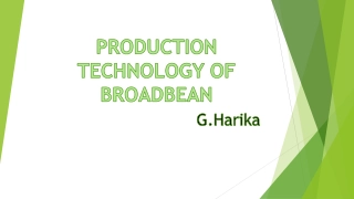 PRODUCTION TECHNOLOGY OF BROADBEAN