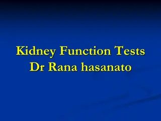 Kidney Function Tests: Structure, Function, and Interpretation