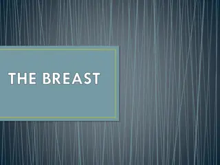 Surgical Anatomy of the Human Breast