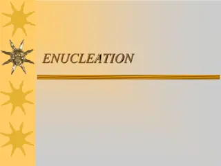 Contract Administration for Construction Phase Services