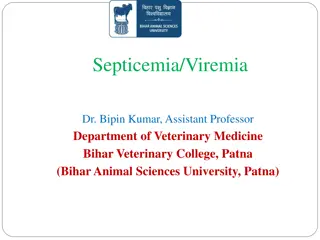 Septicemia and Viremia in Veterinary Medicine