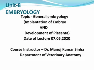 Development of Placenta and Implantation Process