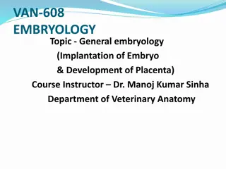 Development of Placenta in Embryology