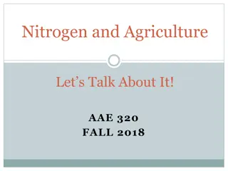 Nitrogen and Agriculture: A Deep Dive