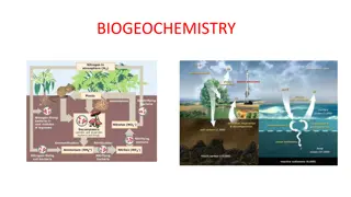 Biogeochemistry: Study of Elemental Cycles and Isotopes