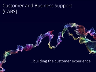 Customer and Business Support (CABS) - Enhancing Customer Experience