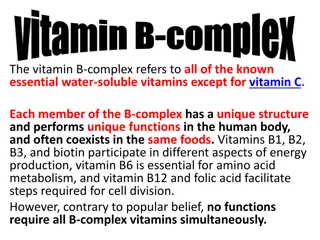 Vitamin B1: Functions and Benefits