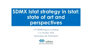 Istat Modernization Programs: Implementing SDMX Strategy