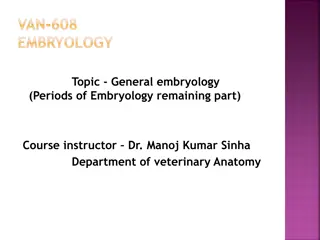 Embryonic Development and Germinal Layers