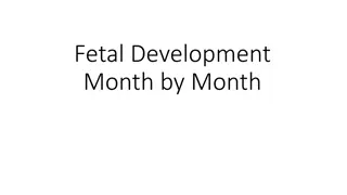 Understanding Intrauterine Growth Restriction (IUGR)
