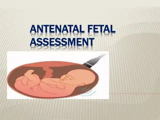 Fetal Assessment and Complications Overview