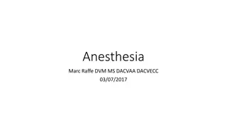 Anesthesia