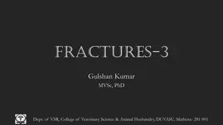 Fracture Management Principles and Considerations
