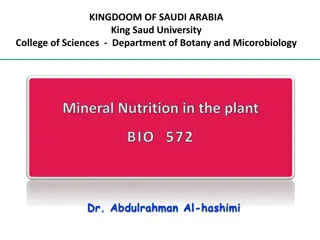 Plant Nutrient Assimilation: Understanding Mineral Nutrition