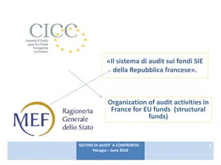Organization of Audit Activities in France for EU Funds