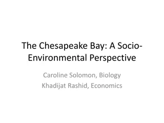 The Chesapeake Bay: A Socio-Environmental Perspective