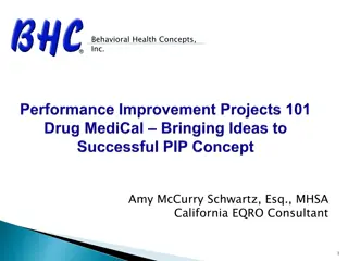 Insights into Performance Improvement Projects (PIPs) for Health Programs