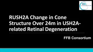 Cone Structure Changes in USH2A-related Retinal Degeneration