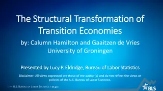 The Structural Transformation of Transition Economies: Analyzing Growth and Challenges