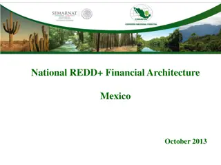 National REDD+ Financial Architecture Mexico Septiembre 2013 October 2013