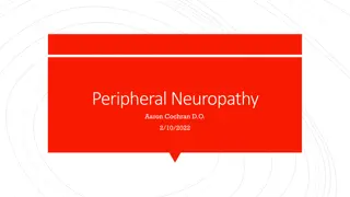 Neuropathy: Symptoms, Patterns & Etiology