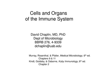 Cells and Organs of the Immune System Overview