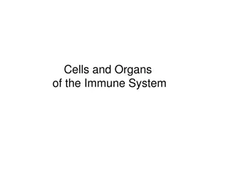 Role of Immune Cells in Defense Systems