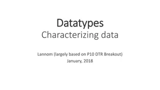 Characterizing Data Types for Precise Processing
