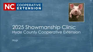 Essential Hog Showmanship Guidelines at Hyde County Cooperative Extension
