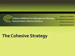 Concerns and Recommendations on Wildland Fire Management