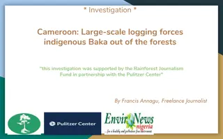 Large-Scale Logging Impact on Indigenous Baka in Cameroon