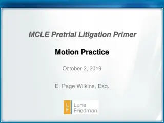 Pretrial Litigation Primer: Motion Practice Guidelines