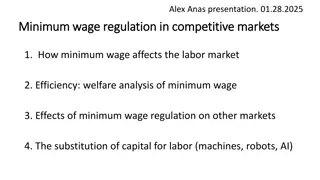 Minimum Wage Regulation Analysis in Competitive Markets