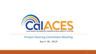 Project Steering Committee Meeting Overview