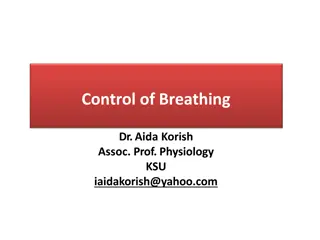 Control of Breathing: Understanding Respiratory Centers
